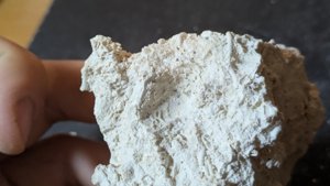 Bivalve imprint