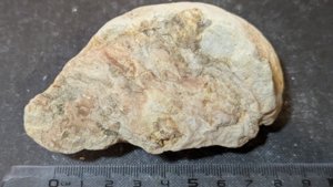 Wood or pine cone fragment - Measurement ~8cm