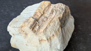 Wood