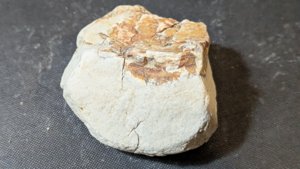 Unknown, maybe wood?