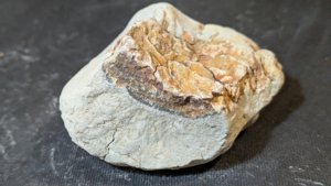 Unknown, maybe wood?