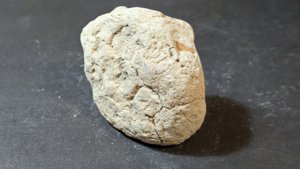 Unknown, maybe wood? - Closed nodule