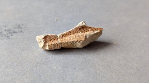 Fragment detail