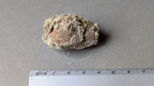 Unknown - Measurement ~4cm
