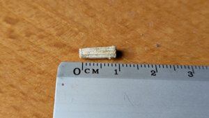 Shell fragment with ribs - Measurement ~1cm