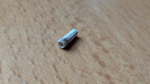 Shell fragment - hollow interior visible