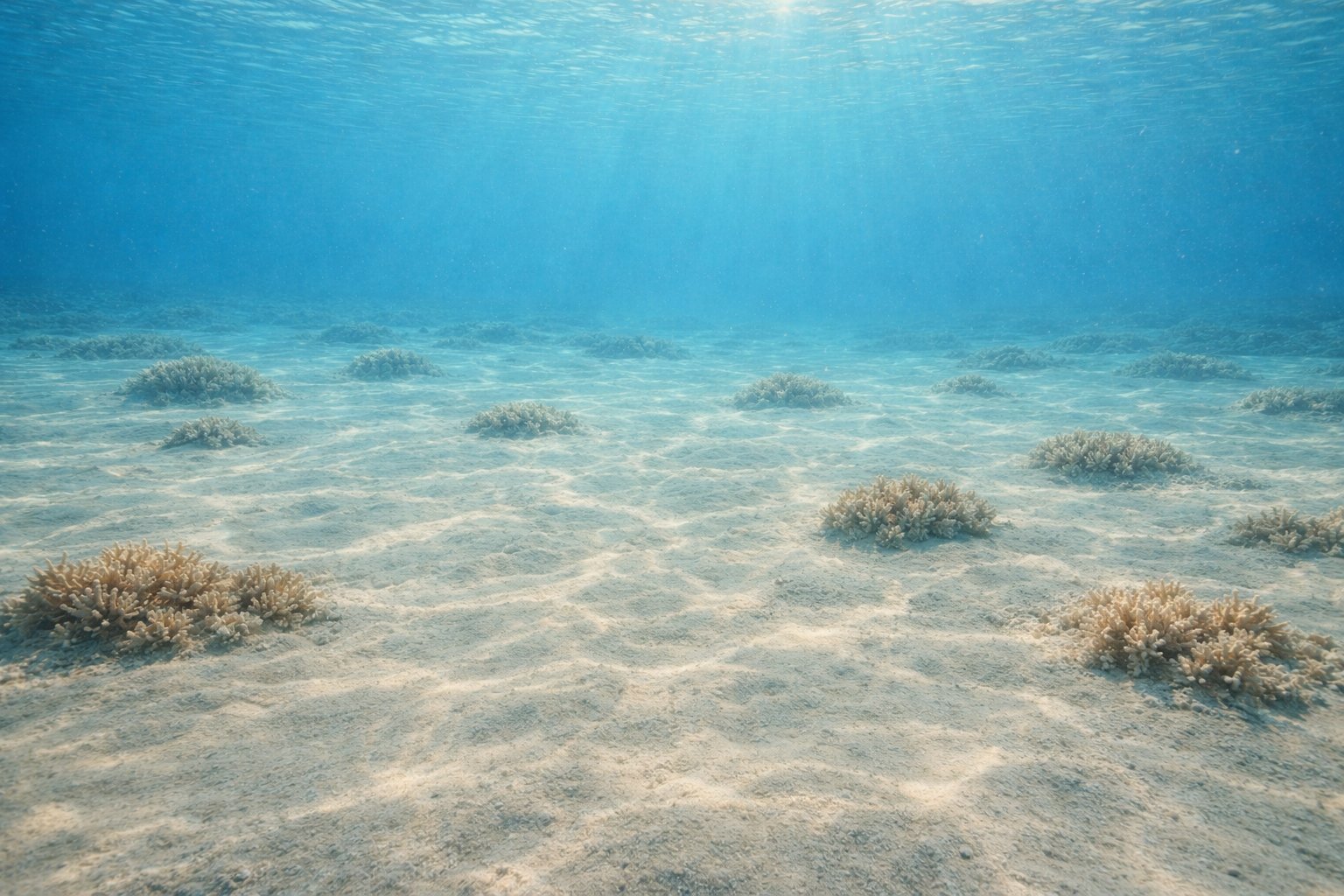 Cape Aspro, Pissouri