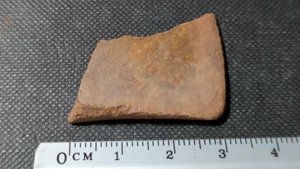 Turtle shell fragment - Measurement ~3cm