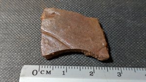 Turtle shell fragment - Measurement 2-3cm