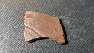 Turtle shell fragment