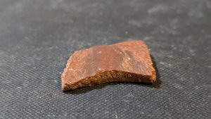 Turtle shell fragment - Side view. The bone structure is visible.