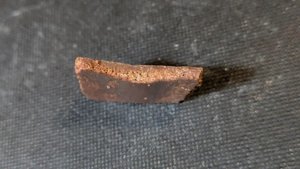 Turtle shell fragment - Side view. The middle axis of the fragment is slightly raised.