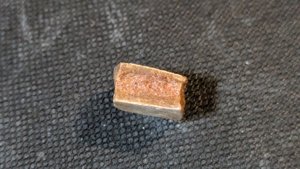 Turtle shell fragment