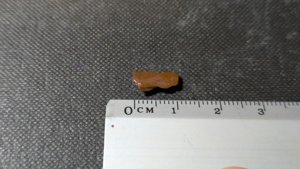 Unknown - Measurement ~1cm