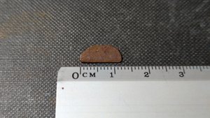 Unknown - Measurement ~1cm