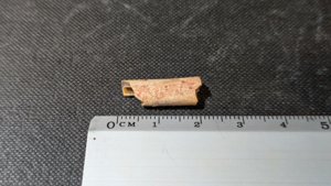 Bone fragment of a Pterosaur or avian-like Theropod - Measurement ~2cm