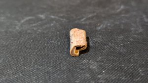 Bone fragment of a Pterosaur or avian-like Theropod - The inside is hollow.