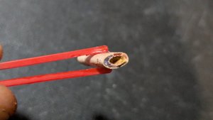 Bone fragment of a Pterosaur or avian-like Theropod - The inside is hollow.