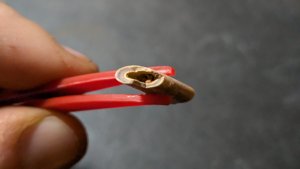 Bone fragment of a Pterosaur or avian-like Theropod - The inside is hollow.