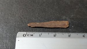 Bone fragment - Measurement ~3cm