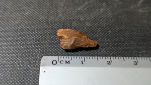 Unknown - Measurement ~1.5cm