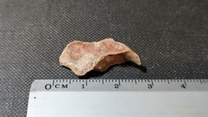 Unknown - Measurement ~2.5cm