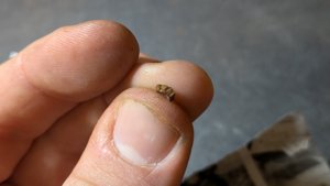 Unknown - Accidental damage, has been repaired.