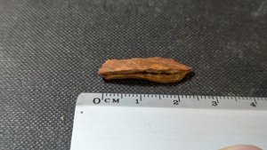 Unknown - Measurement ~2.5cm