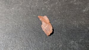 Unknown, perhaps bone fragment