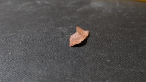 Unknown, perhaps bone fragment