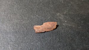 Unknown, perhaps bone fragment
