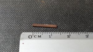 Unknown, perhaps bone fragment - Measurement ~1.5cm