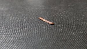 Unknown, perhaps bone fragment