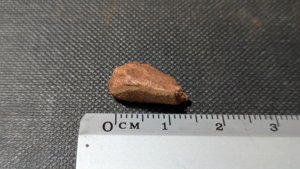 Unknown - Measurement ~1cm
