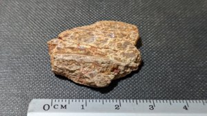 Unknown - Measurement ~3cm