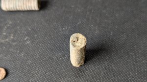 Stem fragment of crinoid - Star-shaped axial canal visible in the middle of the cross-section