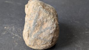 Unknown - Branching structure