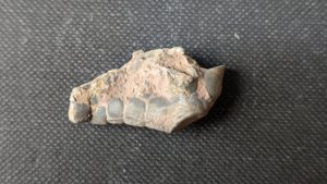 Branching arm base - Three branches visible