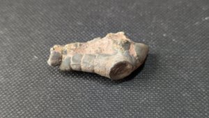 Branching arm base - Three branches visible