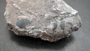 Fragment of an orthoceratoid - 9-10cm