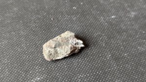 Orthoceratoid - ~1cm. Hard to see