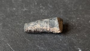 Orthoceratoid - ~3cm. The chamber walls can be faintly seen.