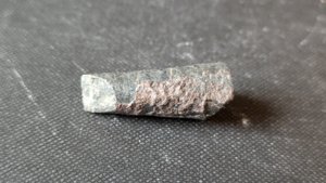 Orthoceratoid - ~3cm. The chamber walls can be faintly seen.