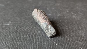 Orthoceratoid - ~3cm. Cross-section. The siphuncle can be faintly seen.