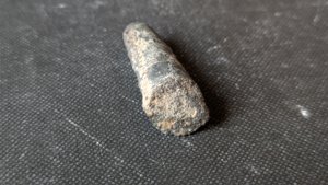 Orthoceratoid - ~3cm. Cross-section.