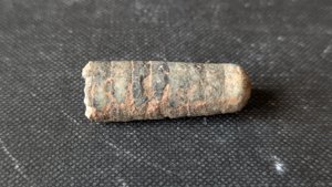 Orthoceratoid - ~3cm. The chamber walls can be seen, with slightly wavy sutures.