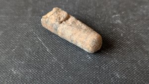 Orthoceratoid - ~3cm. Its tip doesn't seem to have been broken.