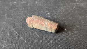 Orthoceratoid - ~3cm. The chamber walls can be seen, with slightly wavy sutures.