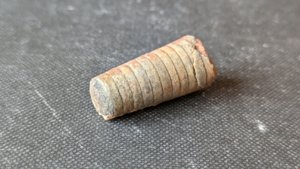 Orthoceratoid - ~3cm. The chamber walls can be seen.