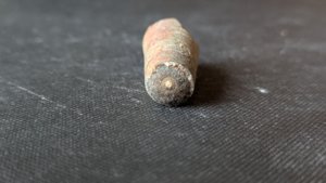 Orthoceratoid - ~3cm. Cross-section. The siphuncle can be seen.